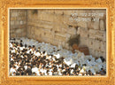 Laminated Sukkah Poster (20 x 28") P538