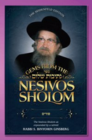 Gems from the Nesivos Shalom - Purim