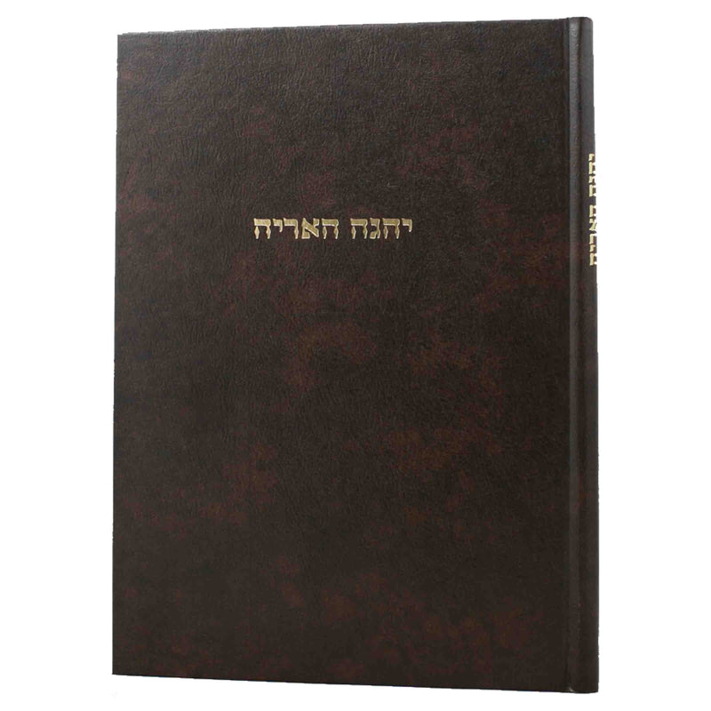 יהגה האריה - חידושים וביאורים על הש"ס