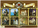 Laminated Sukkah Poster (20 x 28") P724