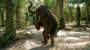 Perek Shira Series: Elephants  - Video