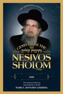 Gems from the Nesivos Shalom - Shabbos