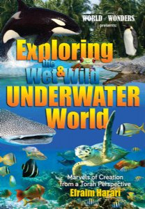 Exploring The Wet and Wild Underwater World